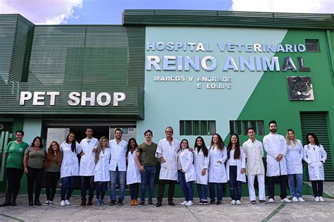 hospital veterinário reino animal